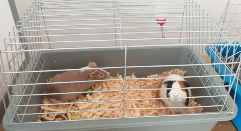 IMG-51b2fda49128bb53a18120115c3cb8bb-V